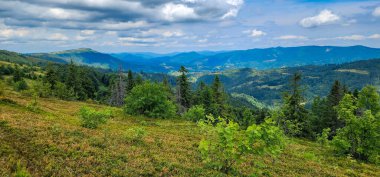 Tepedeki yeşil orman, güneşli bir günde bulutlar ve mavi gökyüzü.