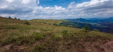 Dağlardaki güzel yaz manzarası. Karpatlar, Ukrayna.