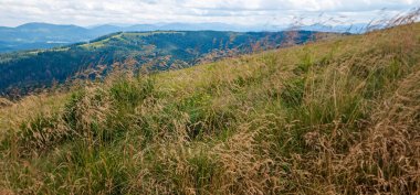 Karpatya 'da güneşli bir günde dağ manzarası