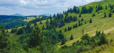 Dağları ve ormanı olan güzel bir manzara.