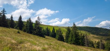 Dağlarda yeşil çimenler