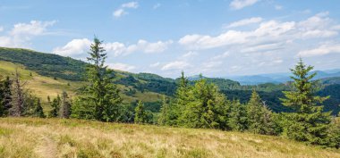 Ukrayna Karpatları 'nda dağ silsilesiyle yaz manzarası