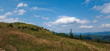Yazın Karpat Dağları.
