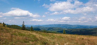 Karpatlar manzarada yaz