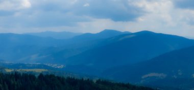 Sabahları dağ ormanı