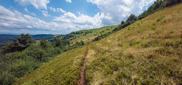 Güzel dağ manzarası. Doğa, seyahat