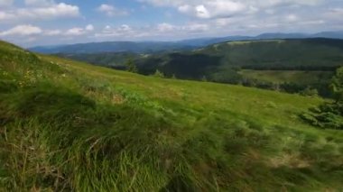 Yazın Karpat Dağları 'nın güzel manzarası