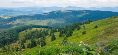 Yazın Karpat Dağları