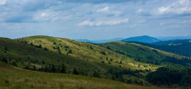 Yazın Karpat Dağları. Dağlarda yeşil tepeler