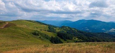 Ağaçları ve mavi gökyüzü olan yeşil bir dağ vadisi manzarası