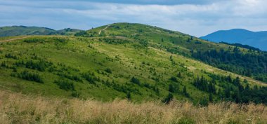 Ukrayna Karpatlarının güzel dağ manzarası