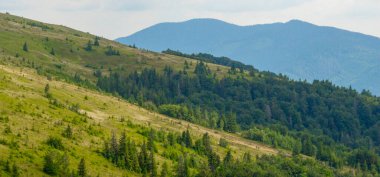 Rusya 'nın kuzeyindeki dağların manzarası.