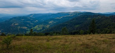 Karpat Dağları 'nın tepesinden manzara