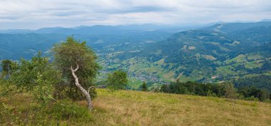 Karpatlarda Yaz manzarası