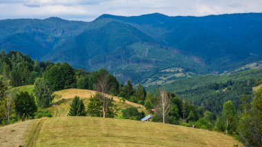 Bir yaz günü Karpatlar 'da yeşil tepeler ve ormanlar.