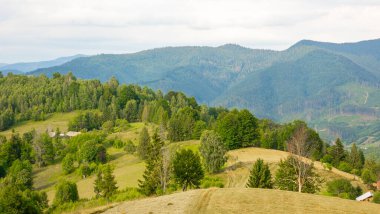 Karpatlar 'daki güzel yaz manzarası