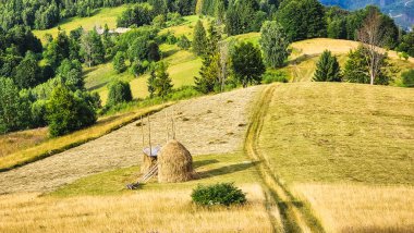 Dağlardaki güzel dağ manzarası