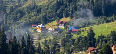 Dağ manzarası Karpatlar ve çiçekler