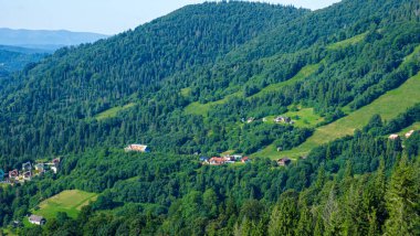 Dağ manzarası Karpatlar ve çiçekler