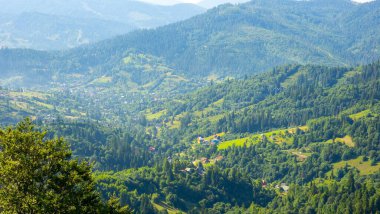Dağ manzarası Karpatlar ve çiçekler