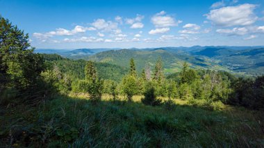 Dağ manzarası Karpatlar ve çiçekler