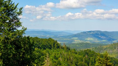 Dağ manzarası Karpatlar ve çiçekler