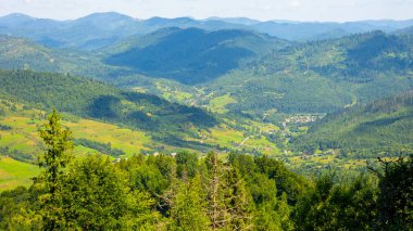 Dağ manzarası Karpatlar ve çiçekler