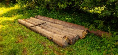 Dağ manzarası Karpatlar ve çiçekler