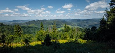 Dağ manzarası Karpatlar ve çiçekler