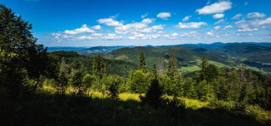 Dağ manzarası Karpatlar ve çiçekler