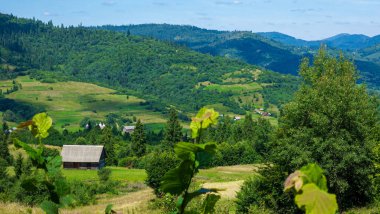 Dağlardaki güzel yaz manzarası. Karpat Dağları, Ukrayna