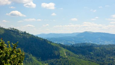 Karpat Dağları'nda güzel dağ manzarası