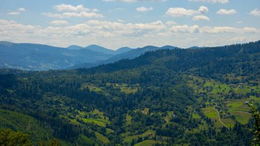 Karpat Dağlarındaki yeşil tepeler.