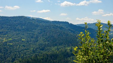 Karpat dağlarındaki dağ manzarası