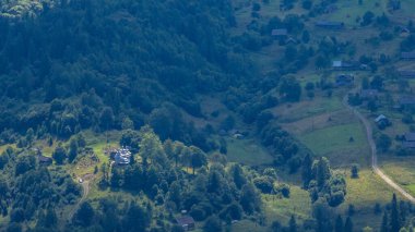 Dağlardaki yeşil orman