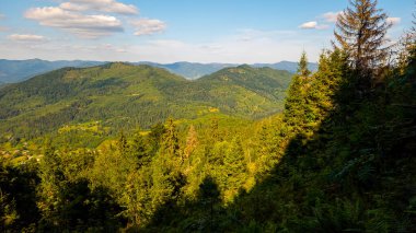 Yazın dağ manzarası