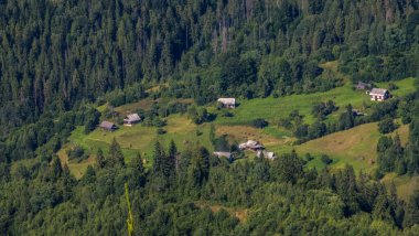 Ormandaki dağların havadan görünüşü