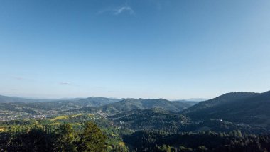 güzel dağ manzarası ile yeşil orman