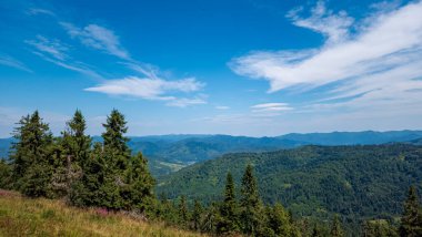 Ukraynalı Karpatlarla yaz manzarası