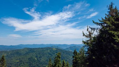 Karpatya dağlarında yaz