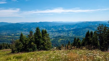 Ukraynalı Karpatların dağlarında güneşli bir günde yaz.