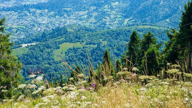 Yazın dağların güzel manzarası