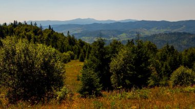 Karpatlar 'da yaz manzarası, Ukrayna