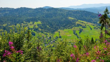 Dağların güzel manzarası