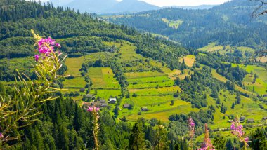 Dağların güzel manzarası