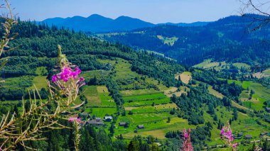 Dağlarda dağları olan güzel bir manzara.