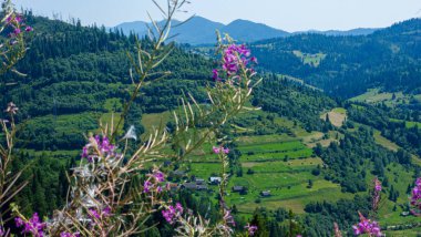 Dağların güzel manzarası