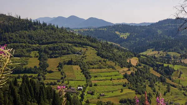 Yazın Karpatlar. Güzel dağlar.