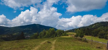Karpatlar 'daki güzel yaz dağ manzarası