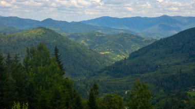 Karpatların yeşil dağları, Ukrayna.